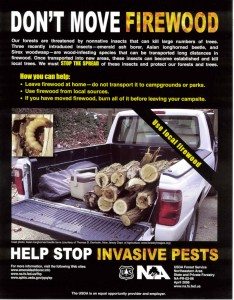 Firewood Information
