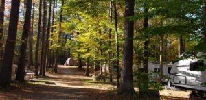 Perfect Motorhome for Camping